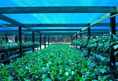 Greenhouse Naungan Bersih, Naungan Kain Pertanian Untuk Flower Farm
