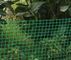 Bukti hijau fenceNetting / Netting Hewan, Hdpe Anti UV Lapangan Mesh