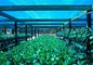 Greenhouse Naungan Bersih, Naungan Kain Pertanian Untuk Flower Farm