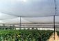 HDPE Rajutan Anti Bird Netting, Black Vegetable Garden Netting Untuk Tanaman