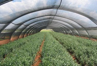 HDPE Greenhouse Naungan Netting
