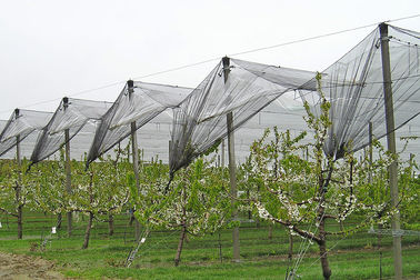 Pertanian Plastik Anti-Hail Nets Dengan Anti Uv Untuk Buah Dan Sayur
