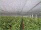Hdpe Raschel Knitted Sun Shade Netting For Greenhouse , Horticulture